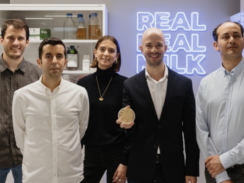 La startup catalana Real Deal Milk desenvolupa un sistema per produir llet de vaca sense la intervenció de l’animal