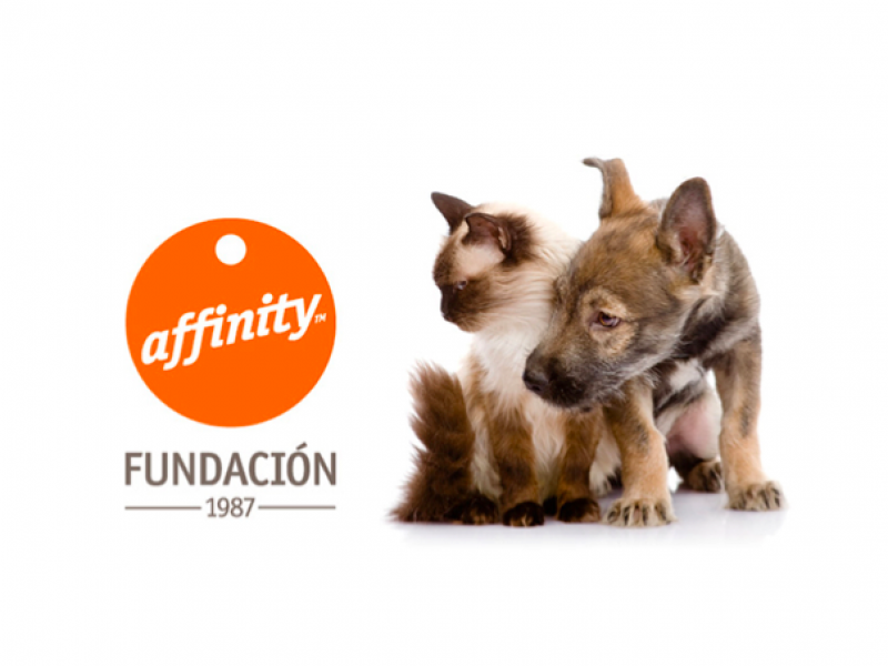La Fundación Affinity dona suport als Premis Talent Cambra 2020