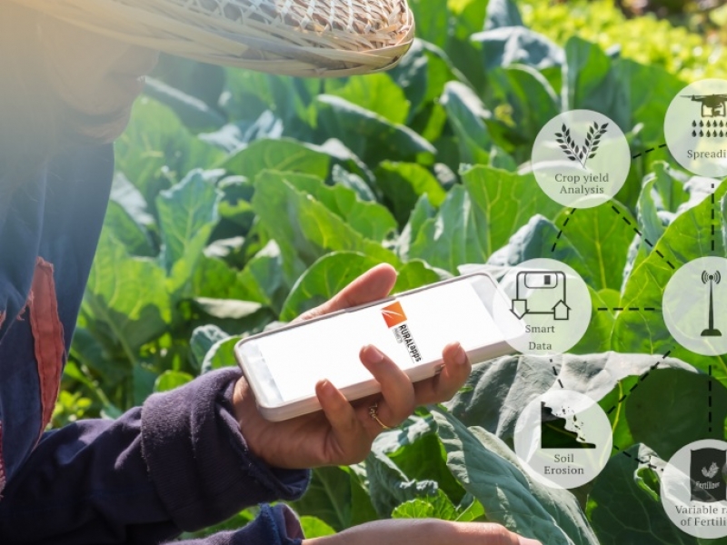Convocats el Premi a la Innovació Tecnològica Agroalimentària (PITA) i el Ruralapps 2021