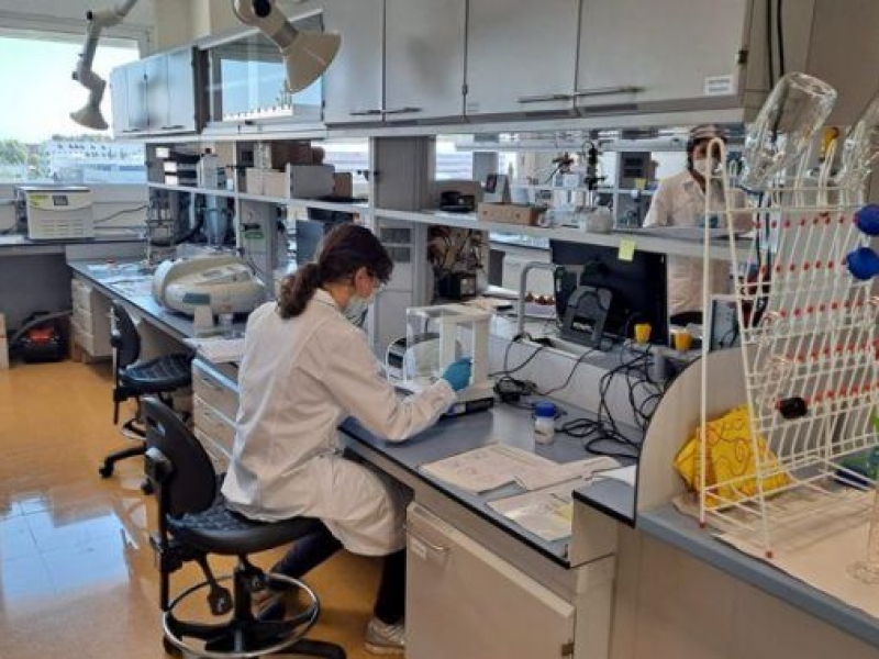 Quatre empreses catalanes participen en el desenvolupament de fàrmacs amb nanotecnologia a Europa